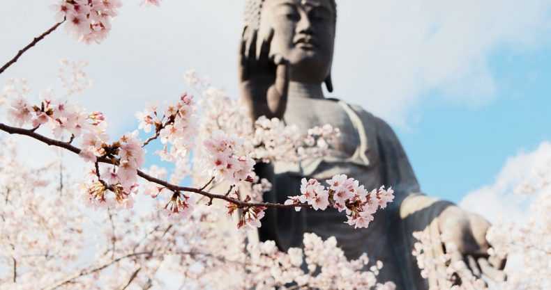 19年 大仏 桜 芝桜 牛久大仏再び 泉美 咲月の死ぬまでに拝みたい世界の巨大神仏像めぐり 泉美咲月の開運は一日にして成らず